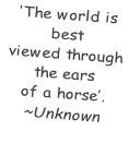 ‘The world is  best  viewed through  the ears  of a horse’. ~Unknown